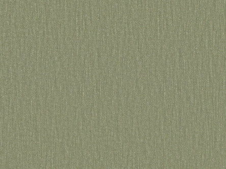 Espocada Albion 2813/55
